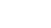 Evvy logo white